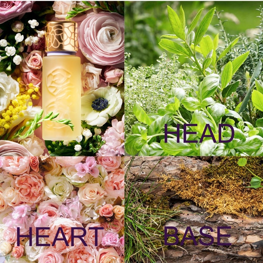 Houbigant Quelques Fleurs L'original mostre de parfum